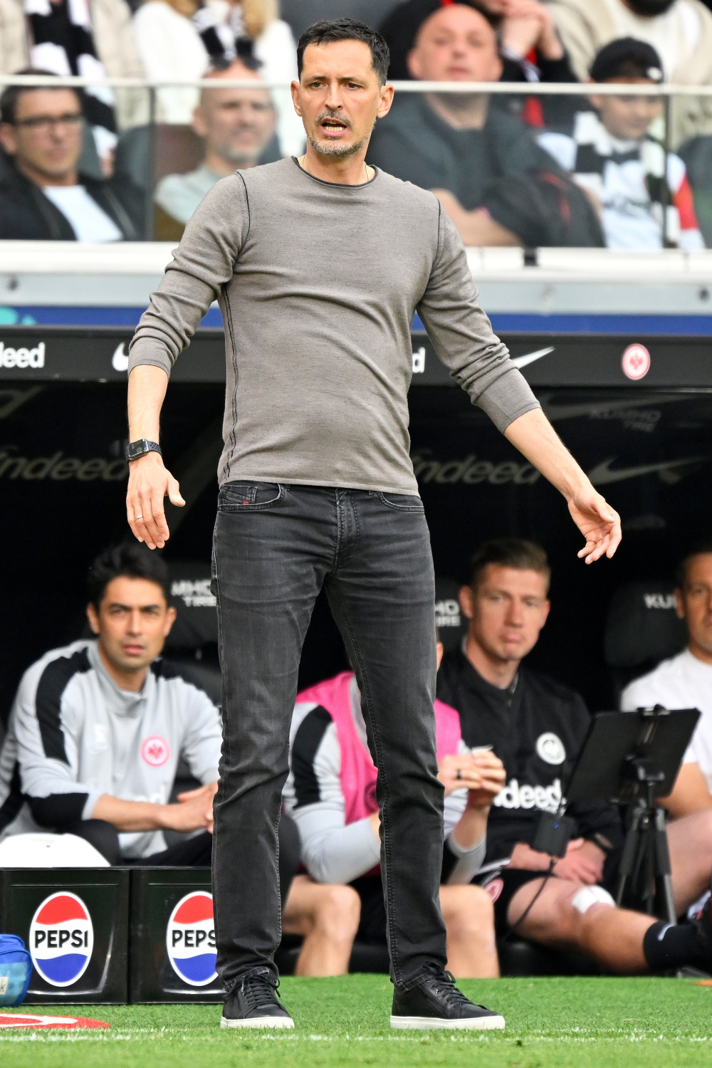 包含法兰克福队员庆祝赢球，球场气氛热烈的词条